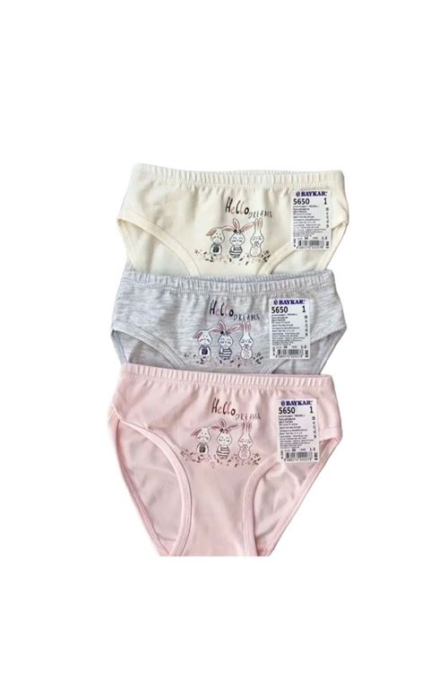 Baykar Karışık Desen 3lü Kız Çocuk Slip Seti 5650