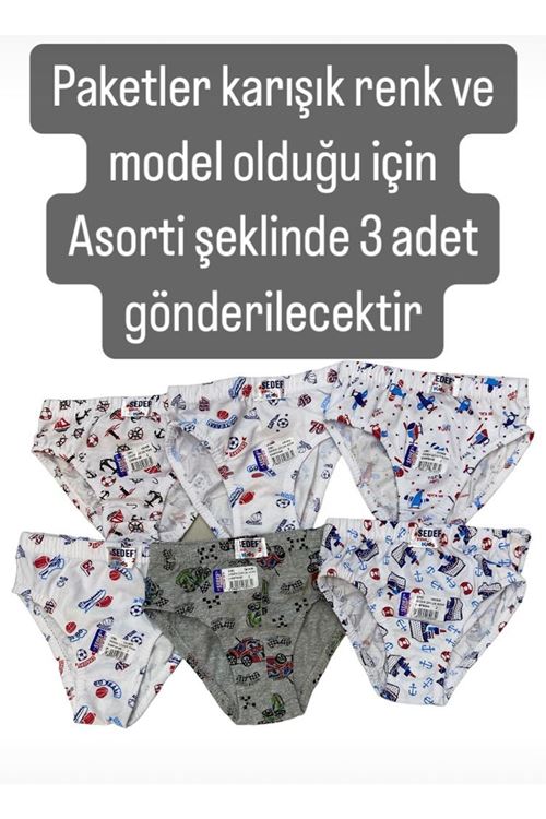 SDF Asorti Karışık Renk ve Model 3lü Erkek Slip Set 1081
