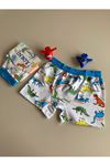 ELM Dinazor Desenli Erkek Çocuk Boxer 520