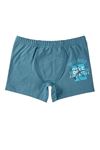 Baykar Karışık Desen 3lü Erkek Çocuk Boxer Seti 3382
