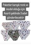 SDF Asorti Karışık Renk ve Model 3lü Erkek Slip Set 1081