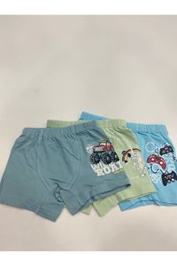 AYS 3lü Erkek Boxer Set 1003-1